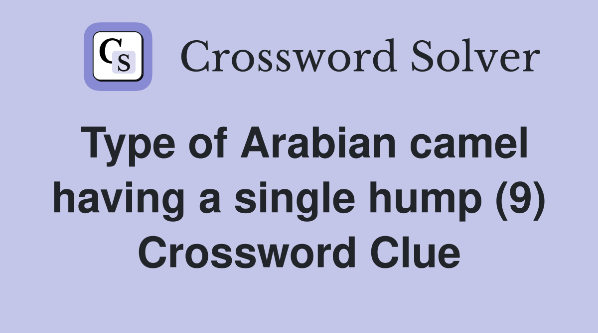 Type of Arabian camel having a single hump (9) - Crossword Clue Answers